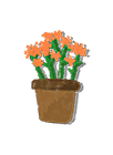 Veladora